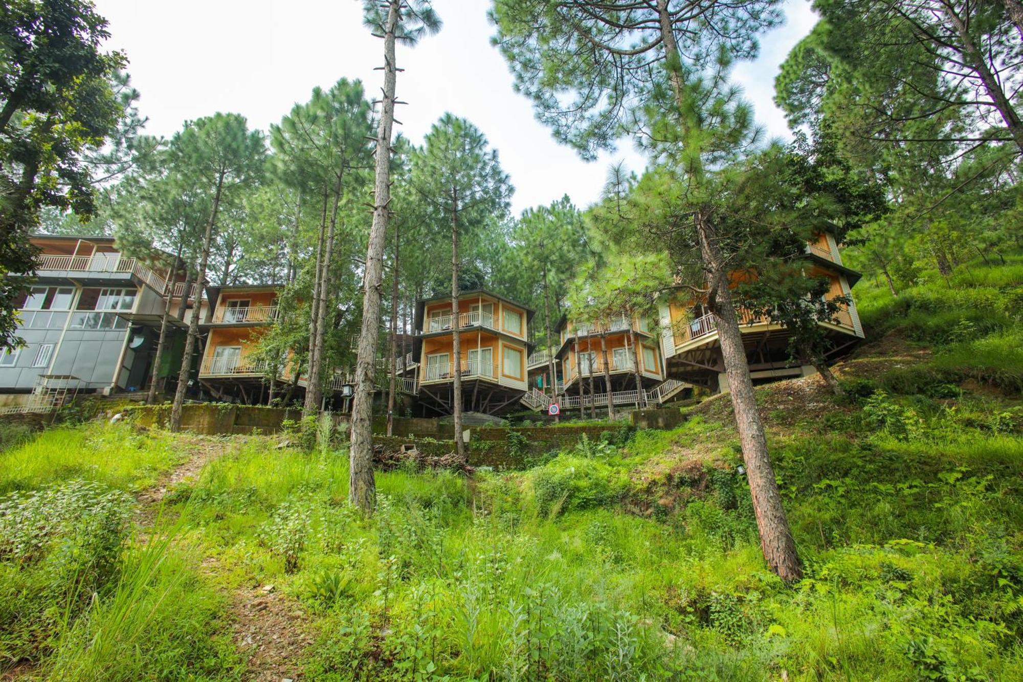 The Woods Retreat Hotell Lansdowne Exteriör bild