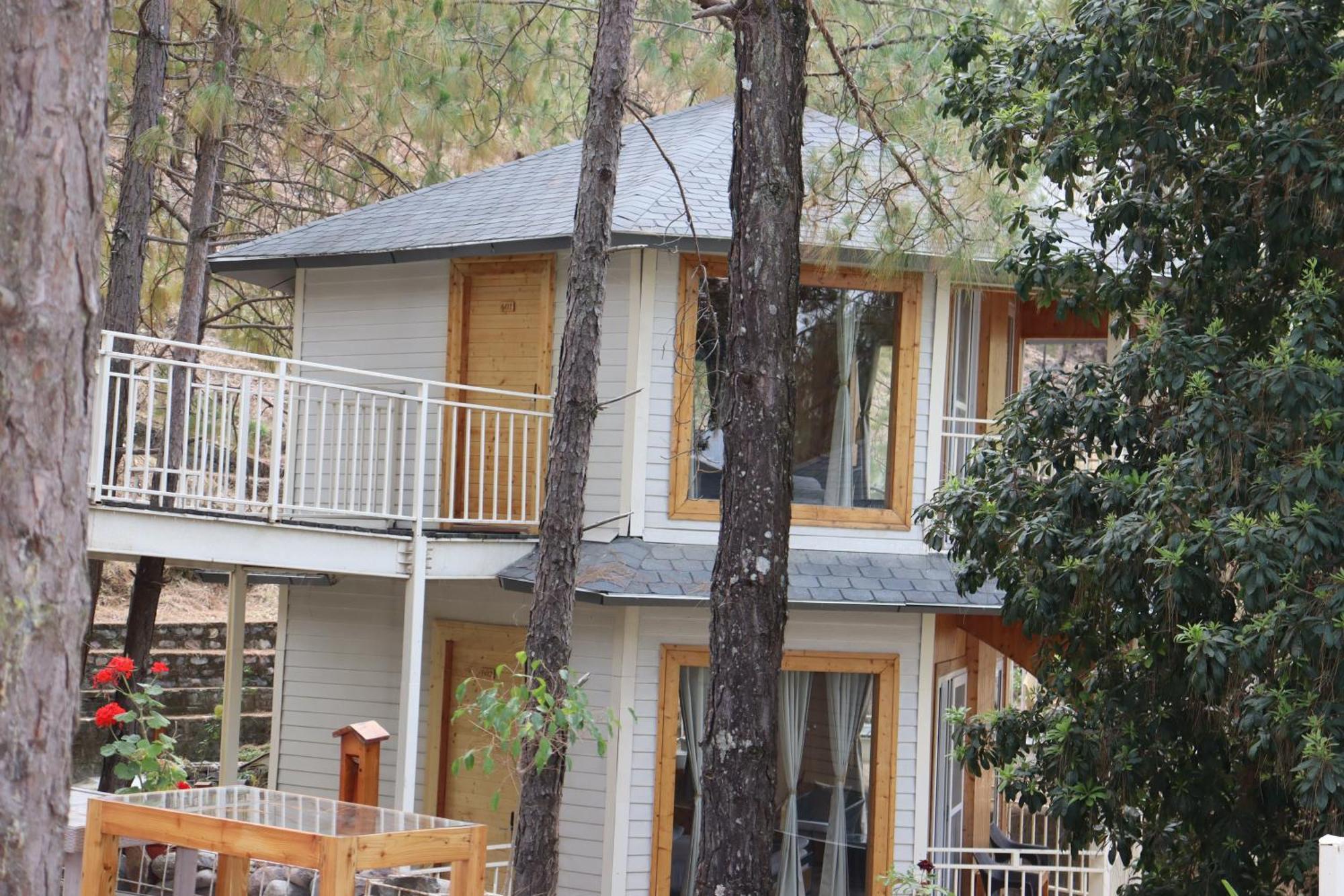 The Woods Retreat Hotell Lansdowne Exteriör bild