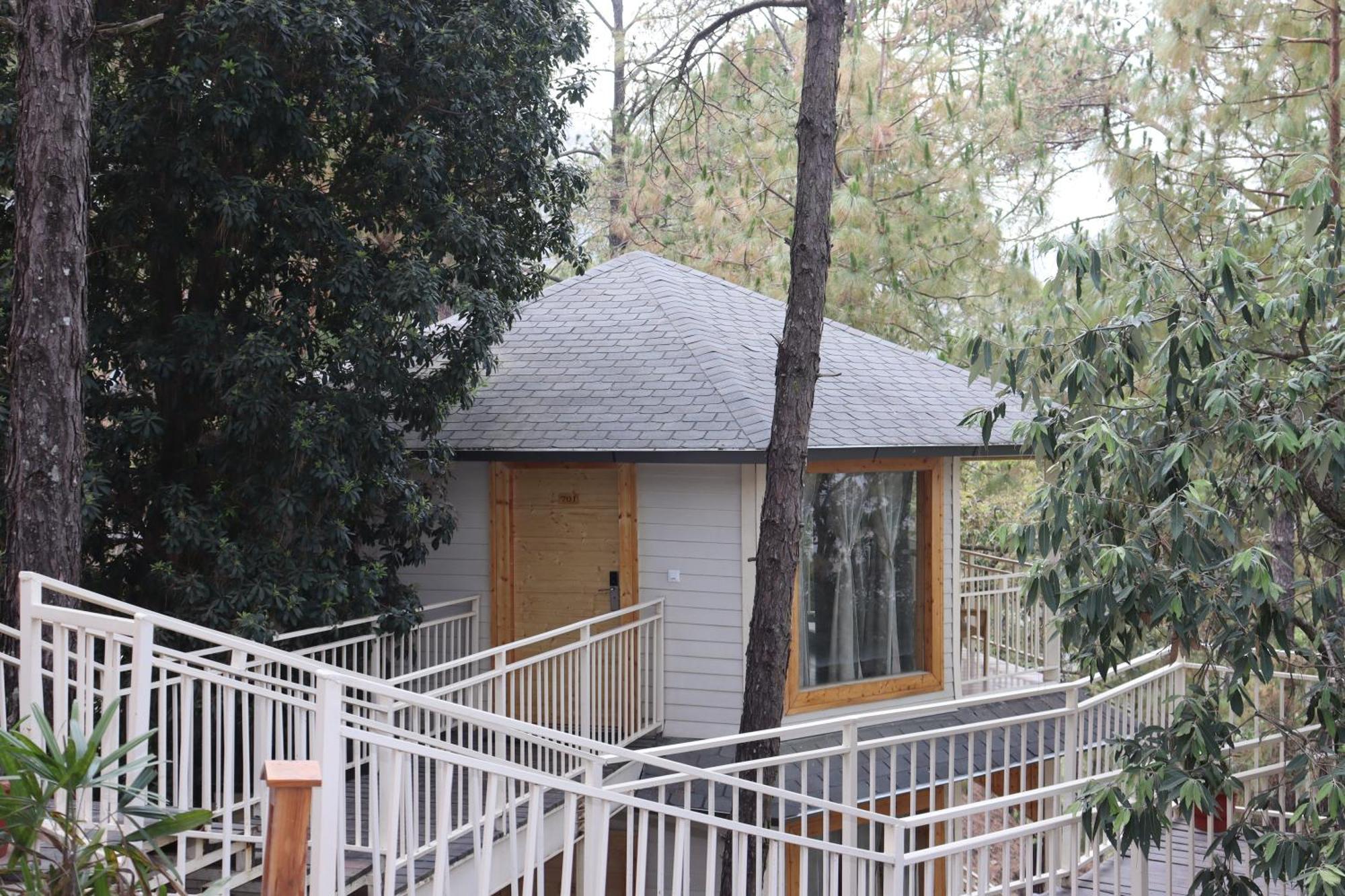 The Woods Retreat Hotell Lansdowne Exteriör bild