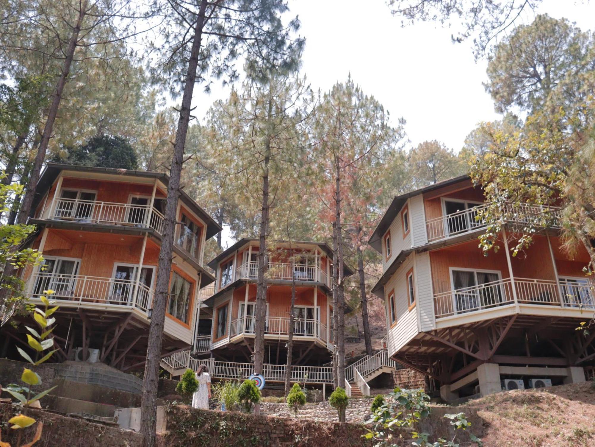 The Woods Retreat Hotell Lansdowne Exteriör bild